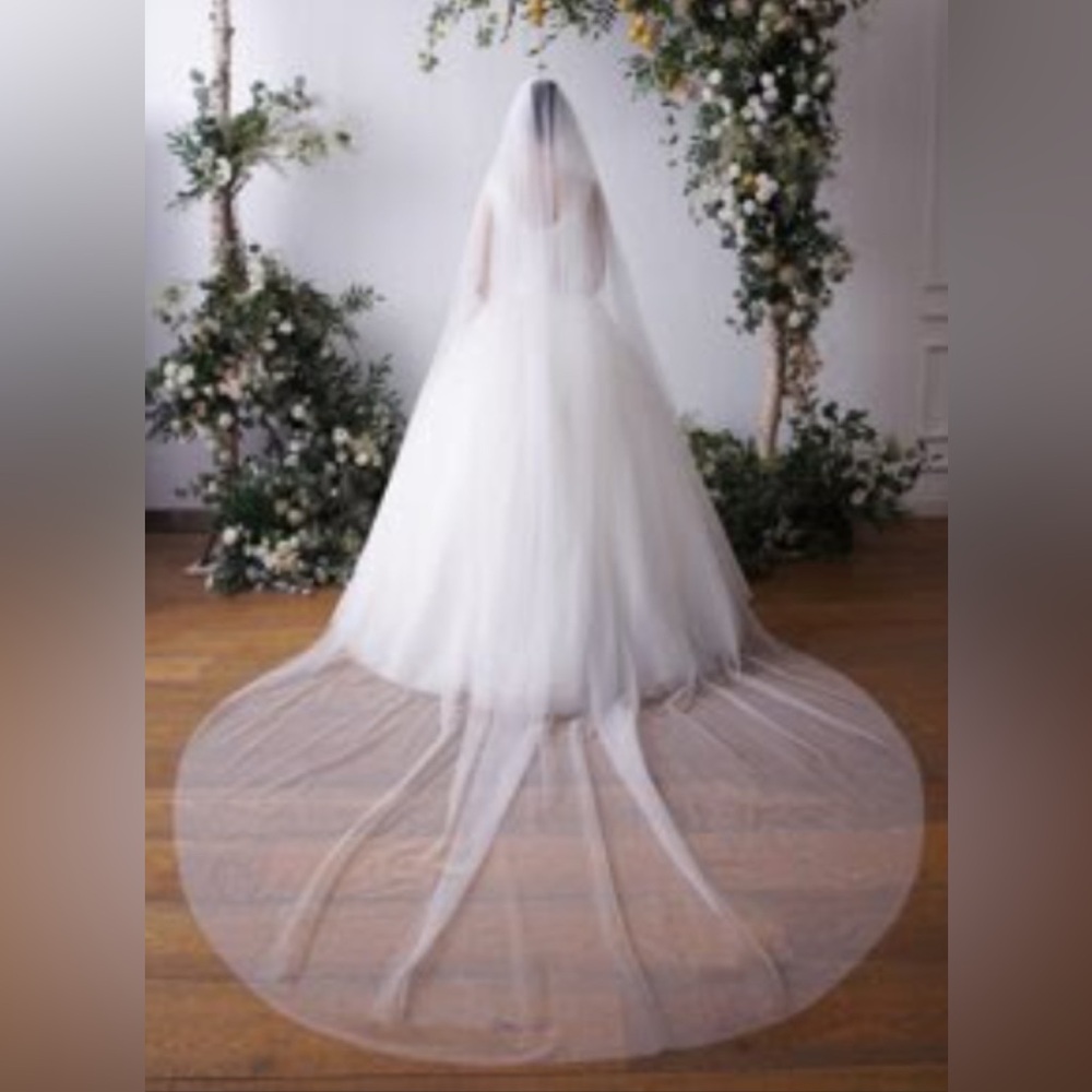 Simple White Cathedral Length Bridal Veil